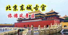 欧美大鸡吧插我视频中国北京-东城古宫旅游风景区